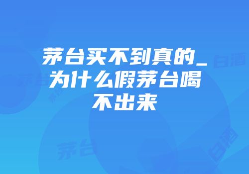 茅台买不到真的_为什么假茅台喝不出来