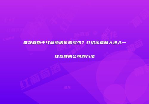 威龙鑫版干红葡萄酒价格多少？介绍运营新人进入一线互联网公司的方法