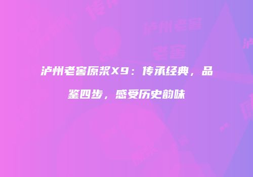 泸州老窖原浆X9：传承经典，品鉴四步，感受历史韵味