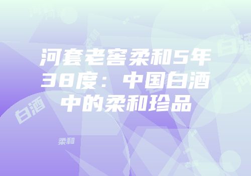 河套老窖柔和5年38度：中国白酒中的柔和珍品