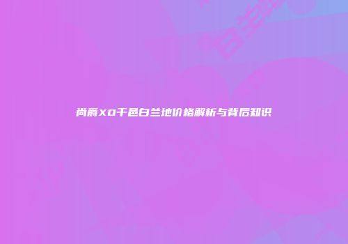 尚爵XO干邑白兰地价格解析与背后知识