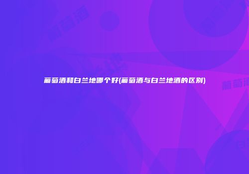 葡萄酒和白兰地哪个好(葡萄酒与白兰地酒的区别)