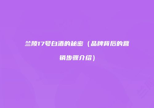 兰陵17号白酒的秘密（品牌背后的营销步骤介绍）