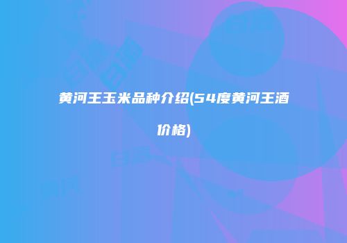 黄河王玉米品种介绍(54度黄河王酒价格)
