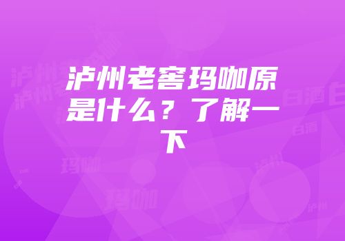 泸州老窖玛咖原是什么？了解一下