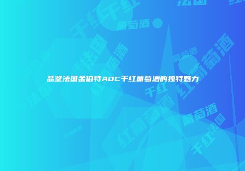 品鉴法国金伯特AOC干红葡萄酒的独特魅力