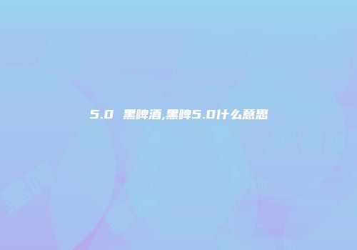 5.0 黑啤酒,黑啤5.0什么意思