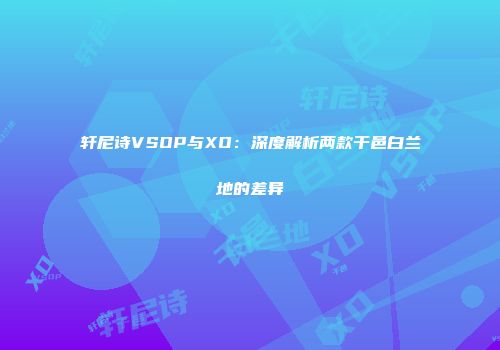 轩尼诗VSOP与XO：深度解析两款干邑白兰地的差异