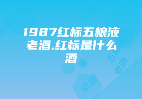 1987红标五粮液老酒,红标是什么酒