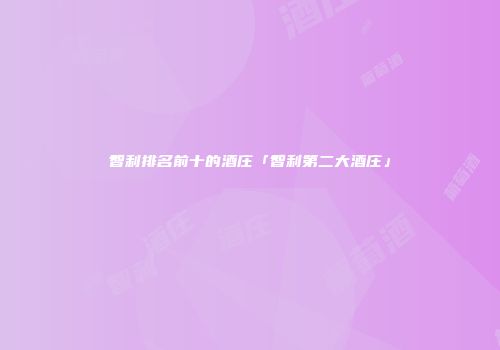 智利排名前十的酒庄「智利第二大酒庄」