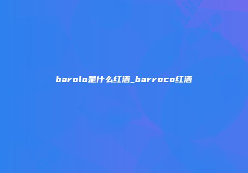 barolo是什么红酒_barroco红酒