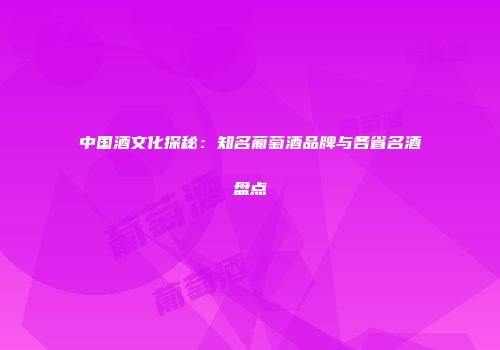 中国酒文化探秘：知名葡萄酒品牌与各省名酒盘点