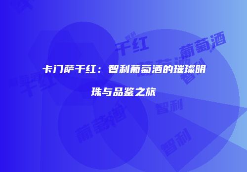 卡门萨干红：智利葡萄酒的璀璨明珠与品鉴之旅