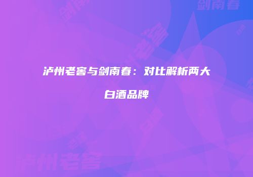 泸州老窖与剑南春：对比解析两大白酒品牌