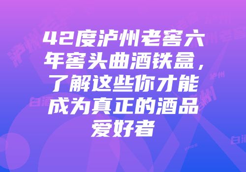 42度泸州老窖六年窖头曲酒铁盒，了解这些你才能成为真正的酒品爱好者
