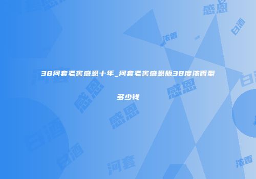 38河套老窖感恩十年_河套老窖感恩版38度浓香型多少钱