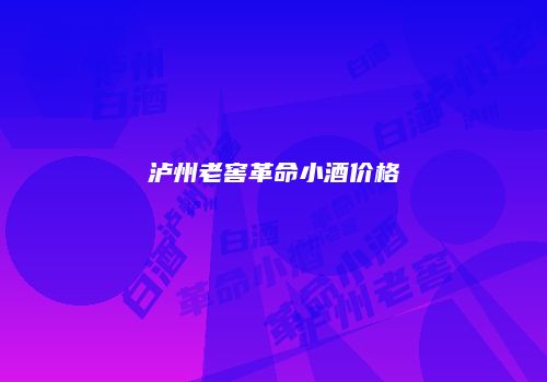 泸州老窖革命小酒价格