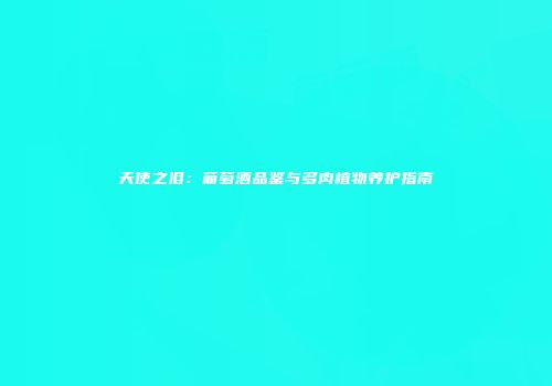 天使之泪：葡萄酒品鉴与多肉植物养护指南