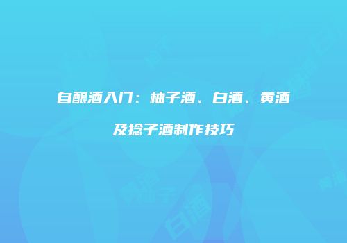 自酿酒入门：柚子酒、白酒、黄酒及捻子酒制作技巧