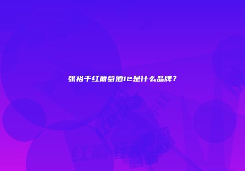 张裕干红葡萄酒12是什么品牌？
