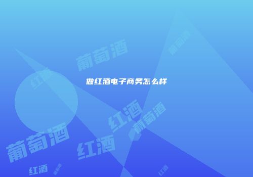 做红酒电子商务怎么样