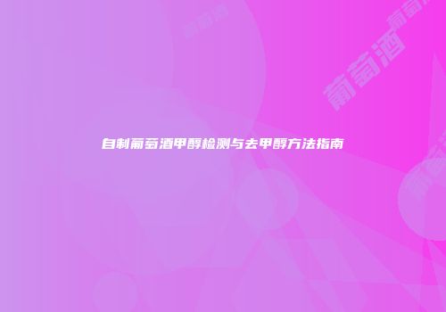 自制葡萄酒甲醇检测与去甲醇方法指南