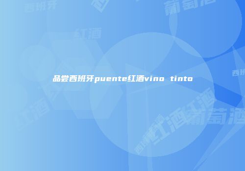 品尝西班牙puente红酒vino tinto