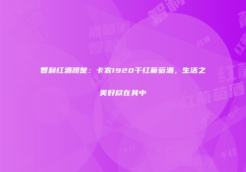 智利红酒翘楚：卡农1920干红葡萄酒，生活之美好尽在其中