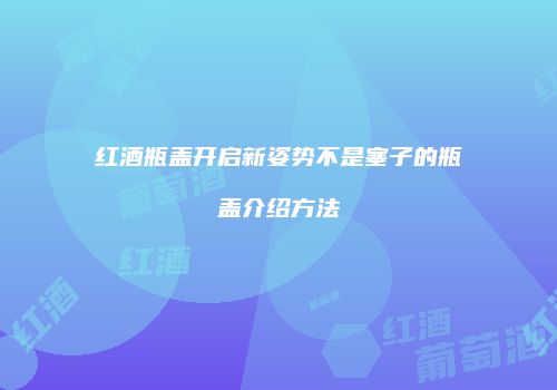 红酒瓶盖开启新姿势不是塞子的瓶盖介绍方法