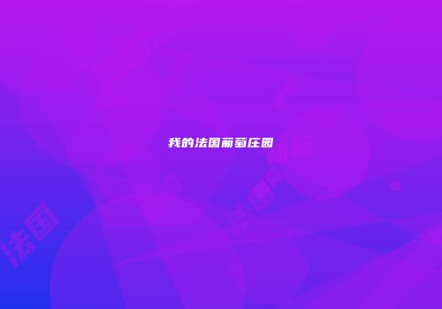 我的法国葡萄庄园