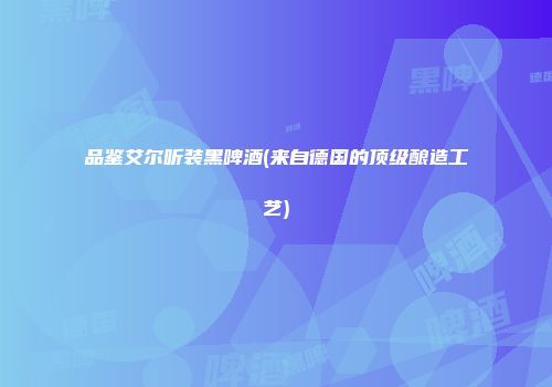品鉴艾尔听装黑啤酒(来自德国的顶级酿造工艺)