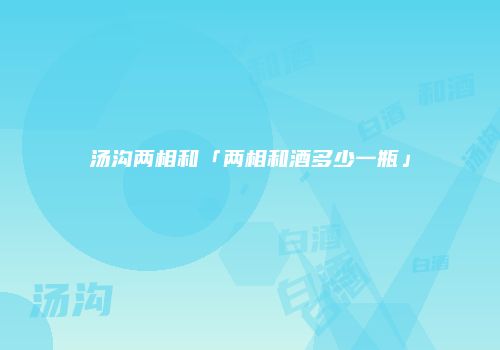 汤沟两相和「两相和酒多少一瓶」