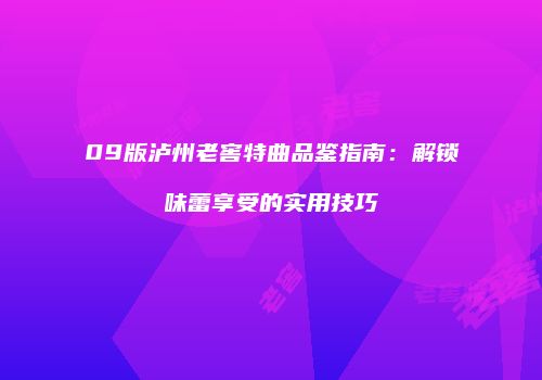 09版泸州老窖特曲品鉴指南：解锁味蕾享受的实用技巧