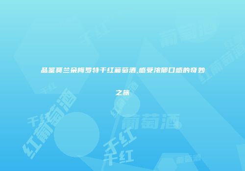 品鉴莫兰朵梅罗特干红葡萄酒,感受浓郁口感的奇妙之旅