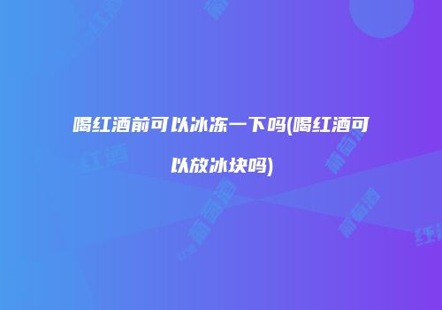 喝红酒前可以冰冻一下吗(喝红酒可以放冰块吗)