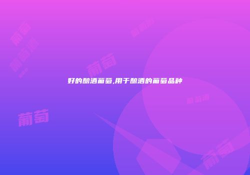 好的酿酒葡萄,用于酿酒的葡萄品种
