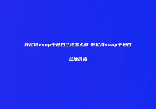 轩尼诗vsop干邑白兰地怎么样-轩尼诗vsop干邑白兰地价格