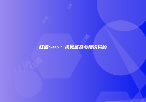 红酒505：视觉鉴赏与档次揭秘