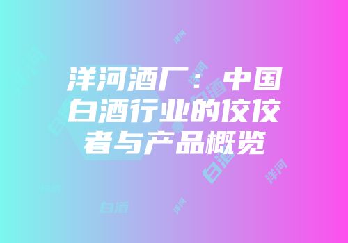 洋河酒厂：中国白酒行业的佼佼者与产品概览