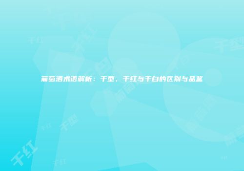 葡萄酒术语解析：干型、干红与干白的区别与品鉴