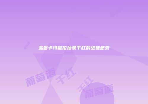 品尝卡特维拉抽象干红的绝佳感受