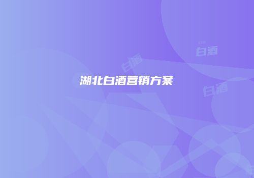 湖北白酒营销方案