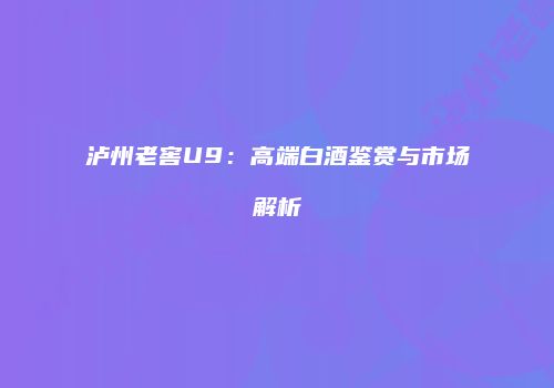 泸州老窖U9：高端白酒鉴赏与市场解析