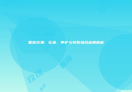 香槟玫瑰：花语、养护与特殊场合应用解析