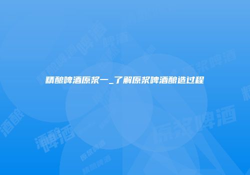 精酿啤酒原浆一_了解原浆啤酒酿造过程