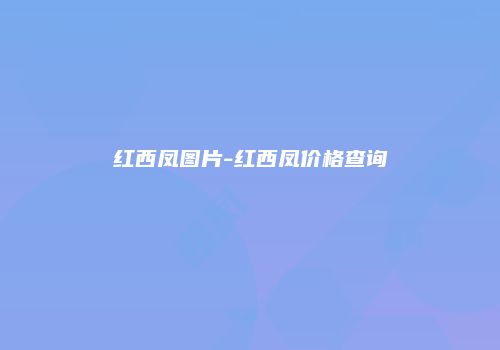 红西凤图片-红西凤价格查询