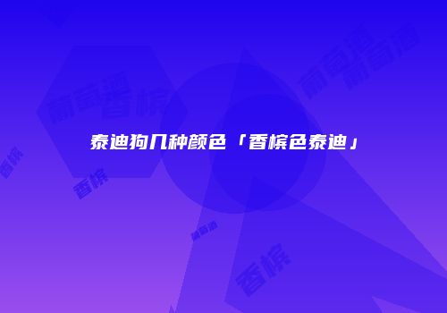 泰迪狗几种颜色「香槟色泰迪」