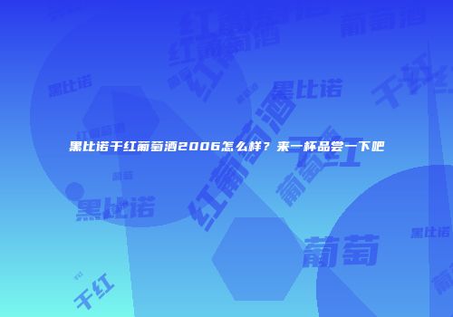 黑比诺干红葡萄酒2006怎么样？来一杯品尝一下吧