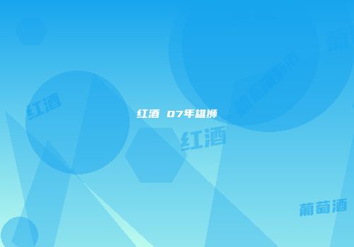 红酒 07年雄狮