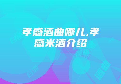 孝感酒曲哪儿,孝感米酒介绍